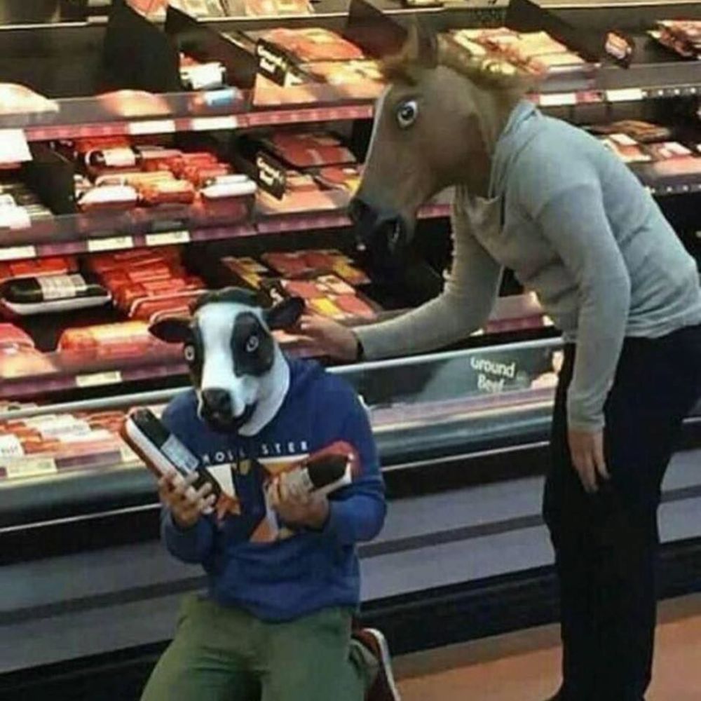 Meet your Posher, Sam